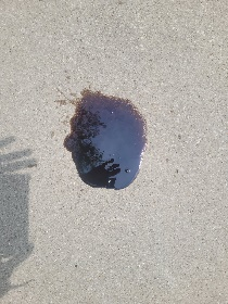 SPILLCLEAN 32oz